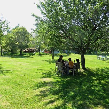 Hotel Balabanaga Ciftligi Camping Daday Zewnętrze zdjęcie