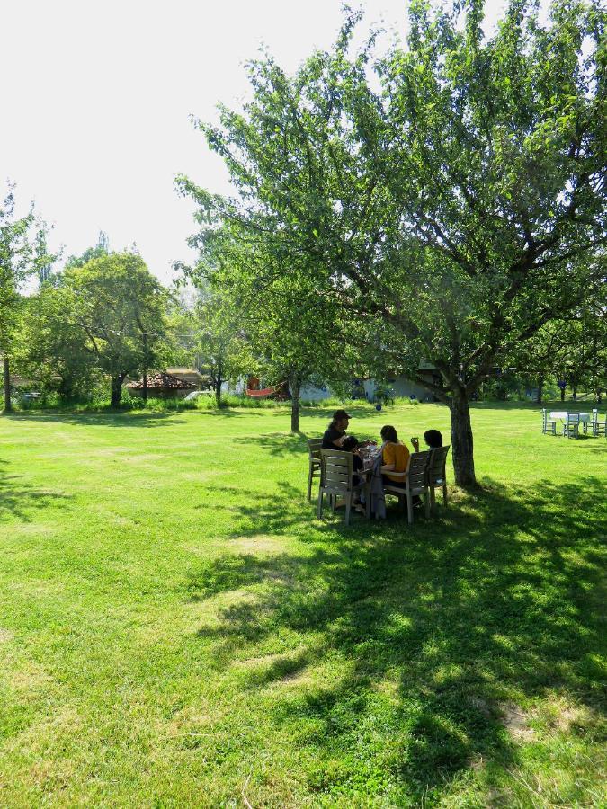 Hotel Balabanaga Ciftligi Camping Daday Zewnętrze zdjęcie